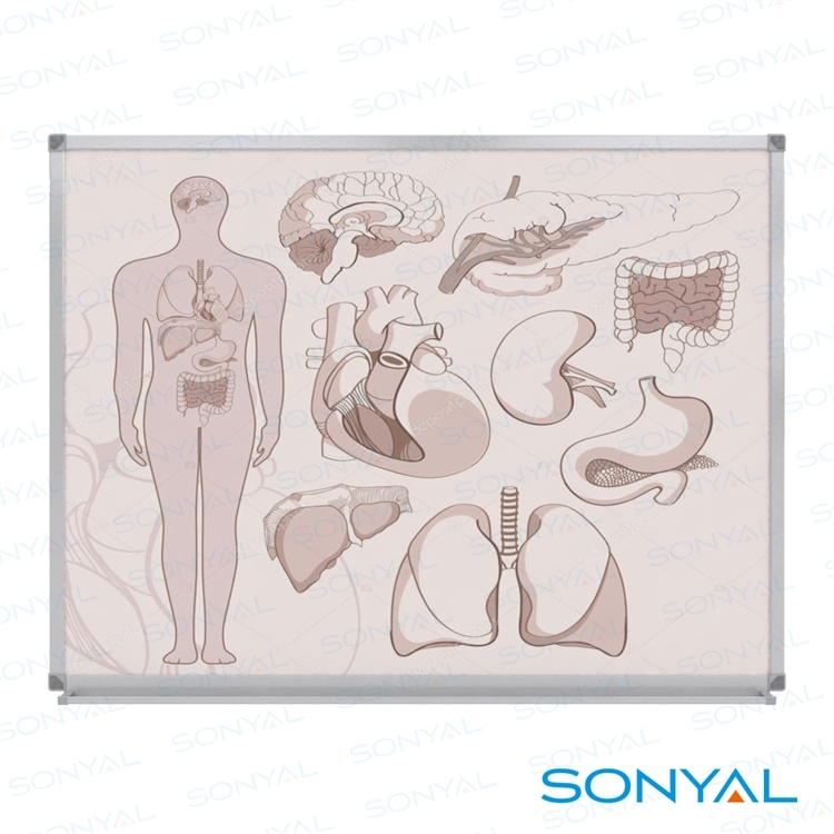 Sonyal 100*100 Duvara Monte Baskılı Laminat Yazı Tahtası